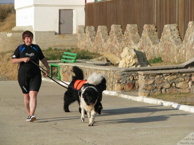 Фотография № 106747