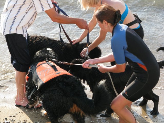 Фотография № 106752