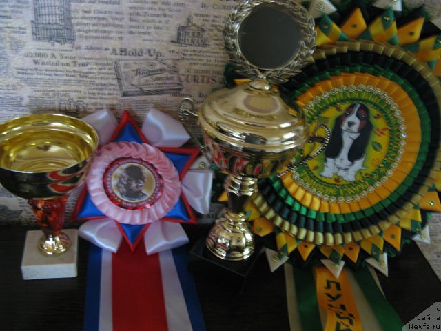 Фотография № 106785