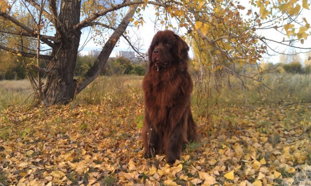 Фотография № 106797