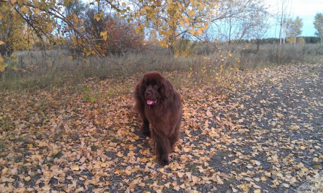 Фотография № 106798