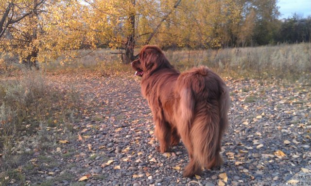 Фотография № 106799