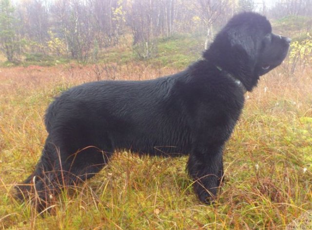 Фотография № 106803