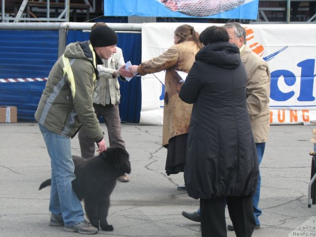 Фотография № 106807