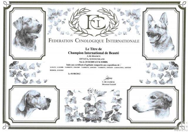 Фотография № 106814