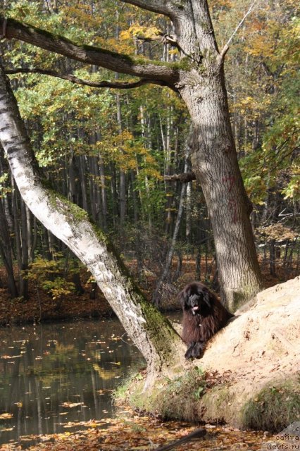 Фотография № 106906