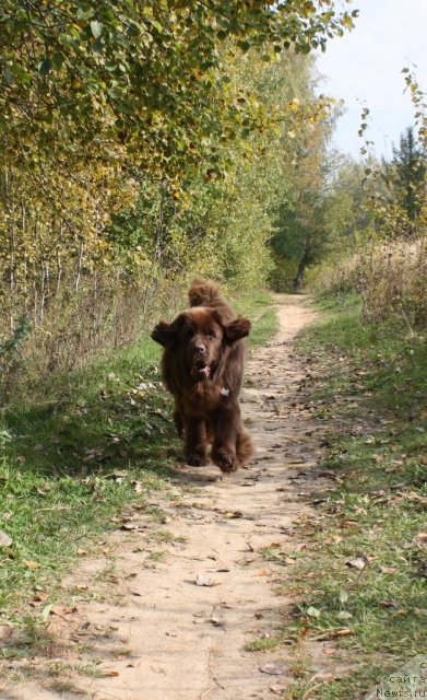 Фотография № 106909