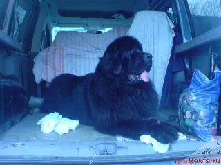 Фото: Elena Vorob'yova (Елена Воробьёва)