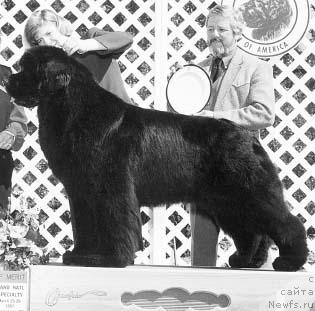 Фотография № 107