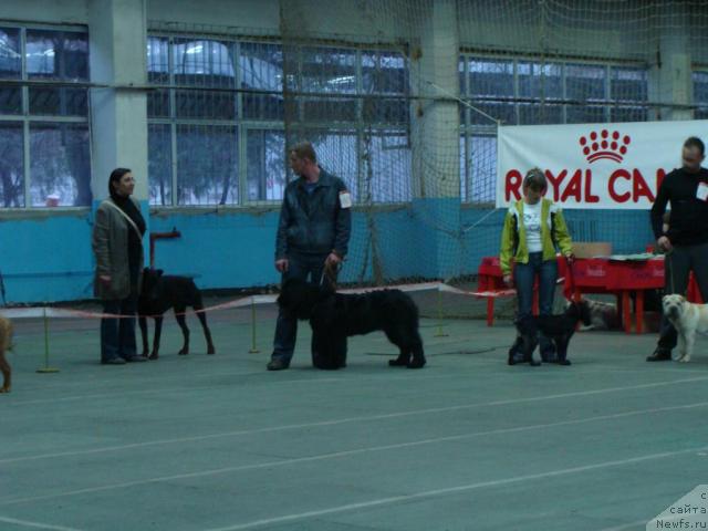 Фотография № 10703