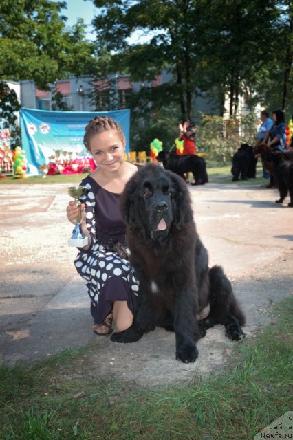 Фотография № 107067