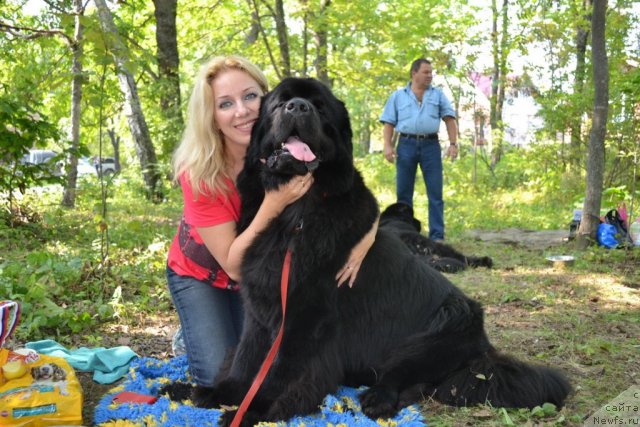 Фотография № 107100