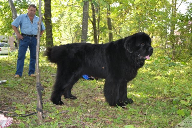 Фотография № 107102