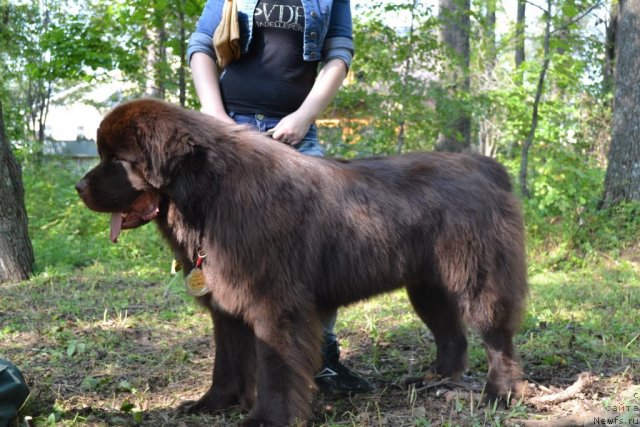 Фотография № 107104