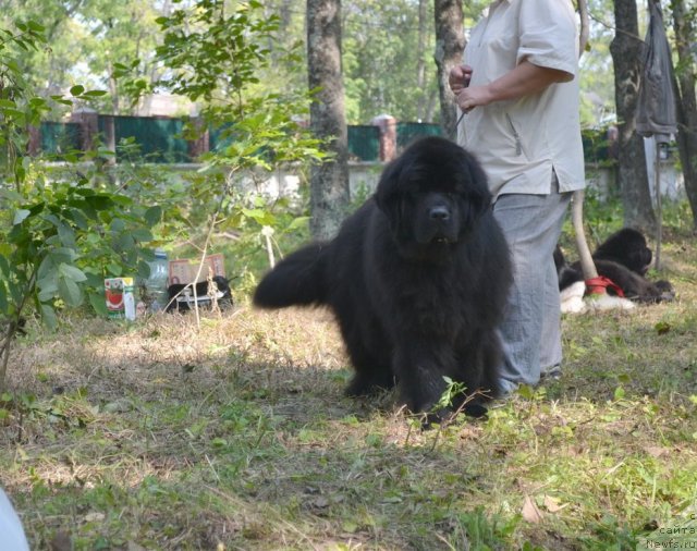 Фотография № 107105