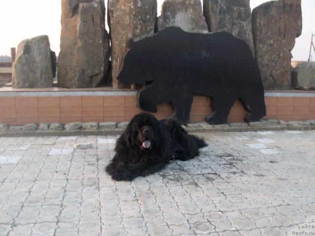 Фотография № 107111