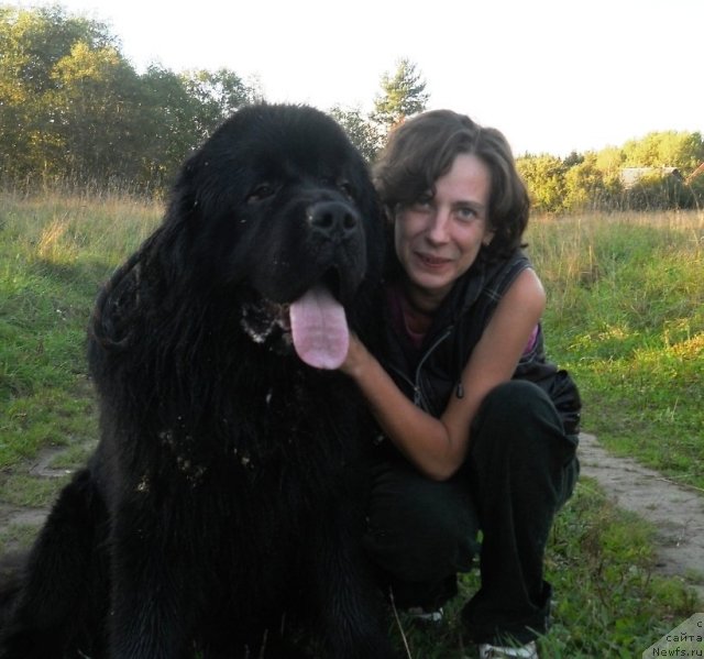 Фотография № 107114