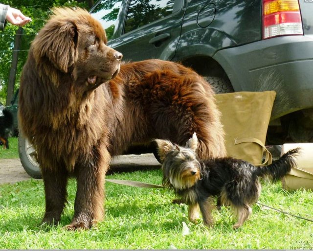 Фотография № 107131