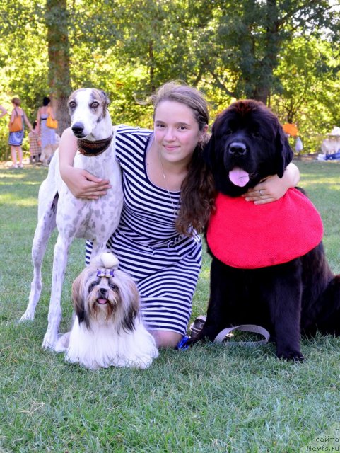 Фотография № 107154