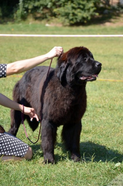 Фотография № 107157