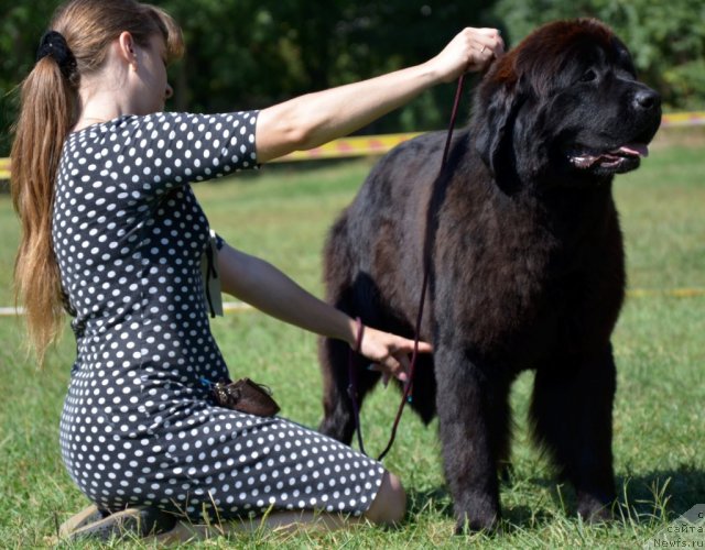 Фотография № 107158