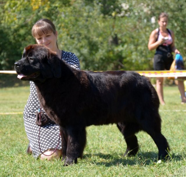 Фотография № 107161