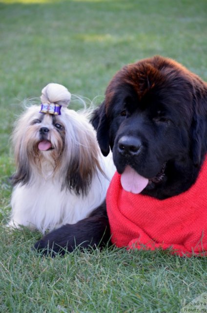 Фотография № 107162