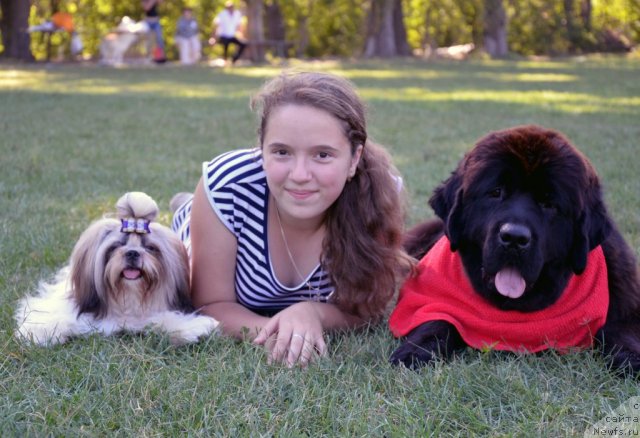 Фотография № 107164