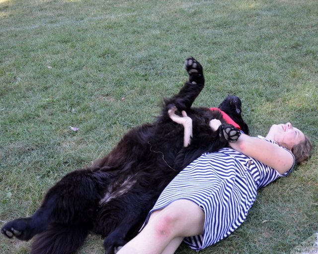 Фотография № 107167