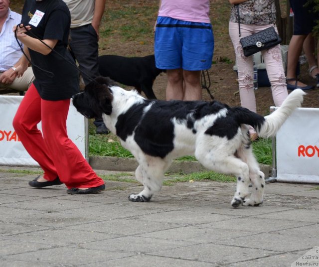 Фотография № 107222