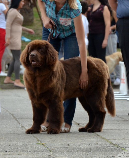 Фотография № 107232