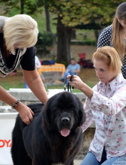 Фотография № 107234