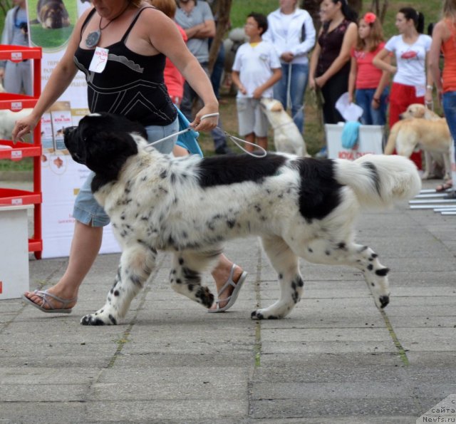 Фотография № 107241