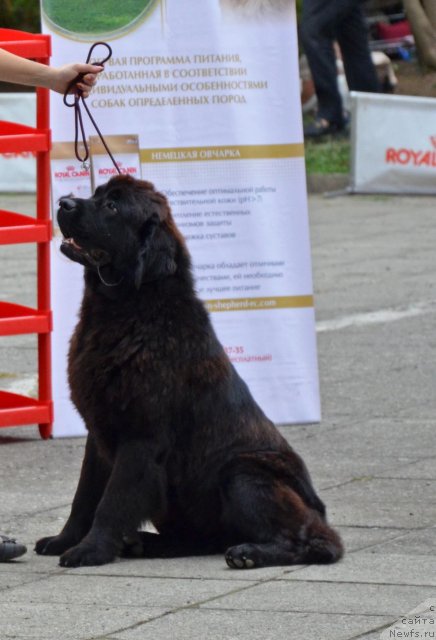 Фотография № 107247