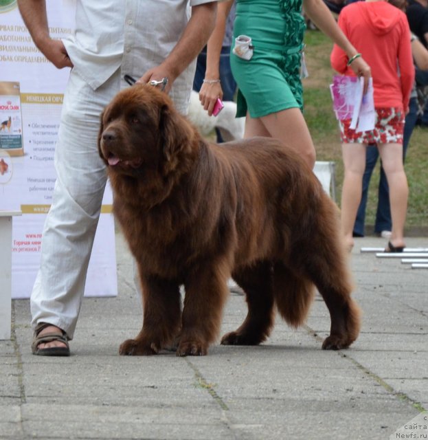 Фотография № 107248