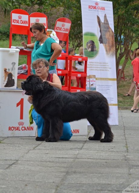 Фотография № 107262