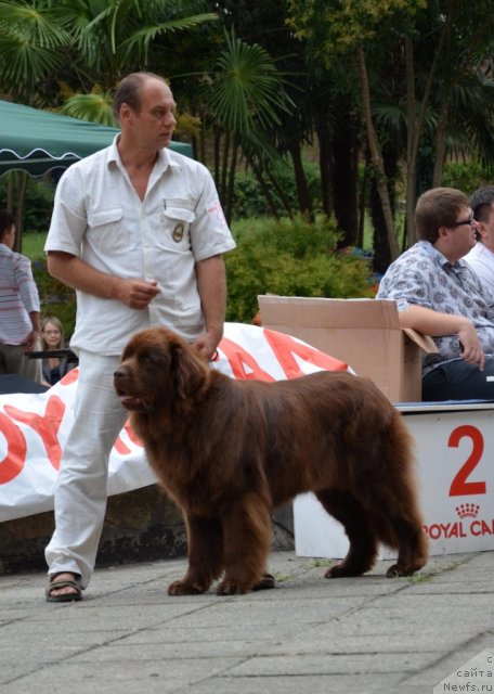 Фотография № 107263