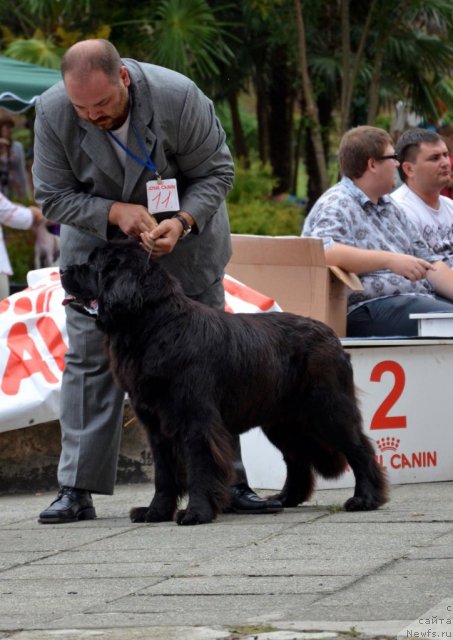 Фотография № 107265