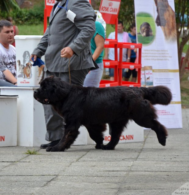 Фотография № 107271