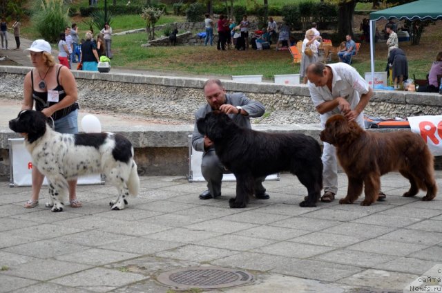 Фотография № 107273