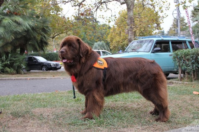 Фотография № 107275