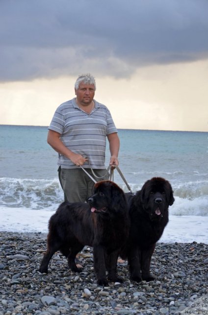 Фотография № 107282