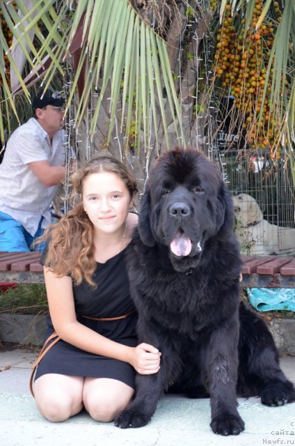 Фотография № 107283