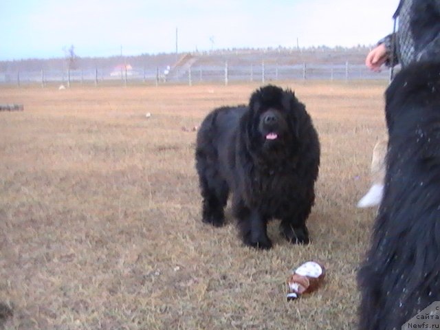 Фотография № 107310