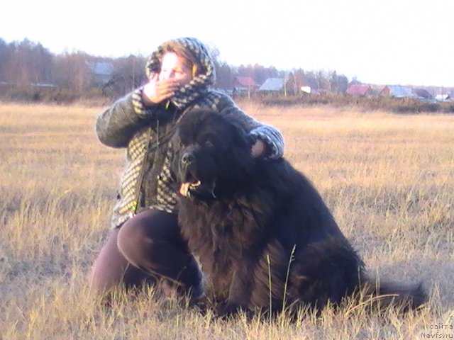 Фотография № 107313