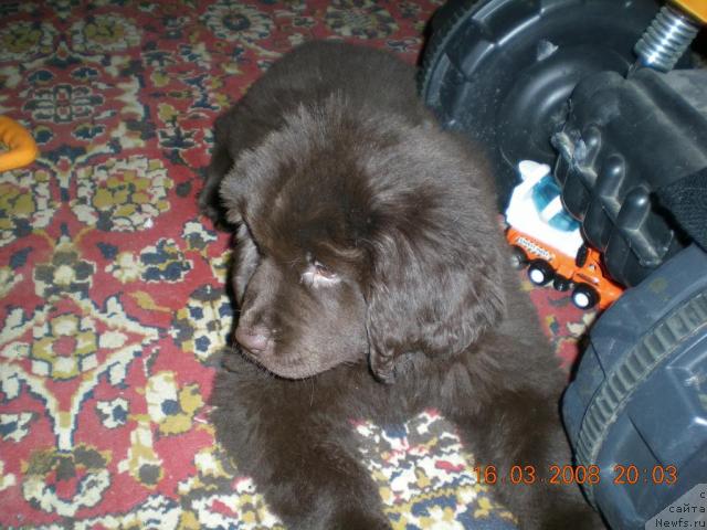 Фотография № 10734