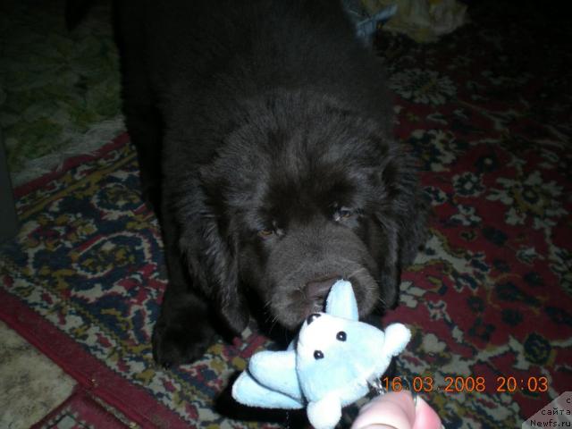 Фото: Яшенька