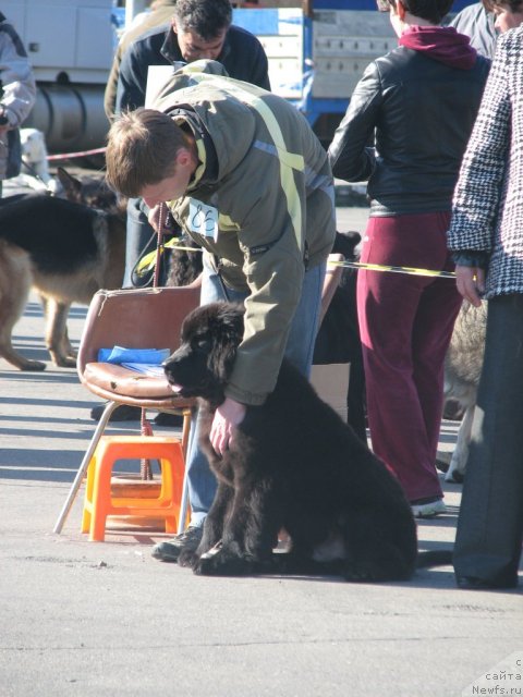 Фотография № 107372