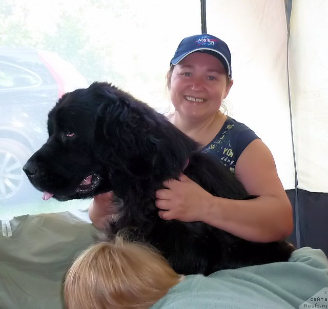 Фото: ньюфаундленд Piternyuf Enigma (Питерньюф Енигма), Nataliya Velikanova (Наталия Великанова)