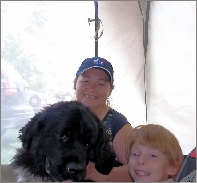 Фото: ньюфаундленд Piternyuf Enigma (Питерньюф Енигма), Nataliya Velikanova (Наталия Великанова), Паша